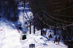 第47回東京都百貨店スキー大会