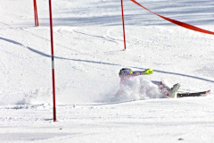 第52回東京都百貨店スキー大会