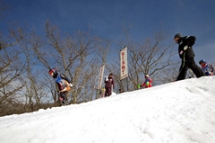 第53回東京都百貨店スキー大会