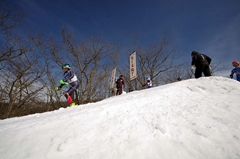 第53回東京都百貨店スキー大会